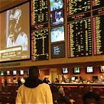 vegas bet sportwetten